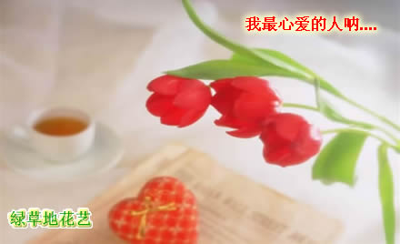 绿草地鲜花递送网