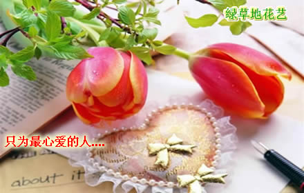 绿草地鲜花递送网