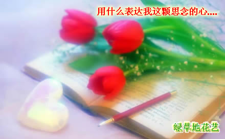 绿草地鲜花递送网