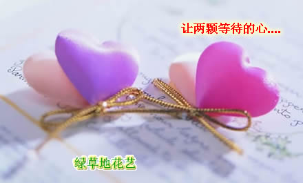 绿草地鲜花递送网