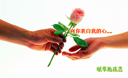 绿草地鲜花递送网